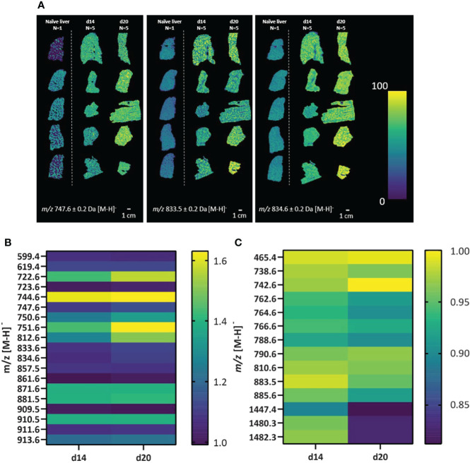 Figure 2