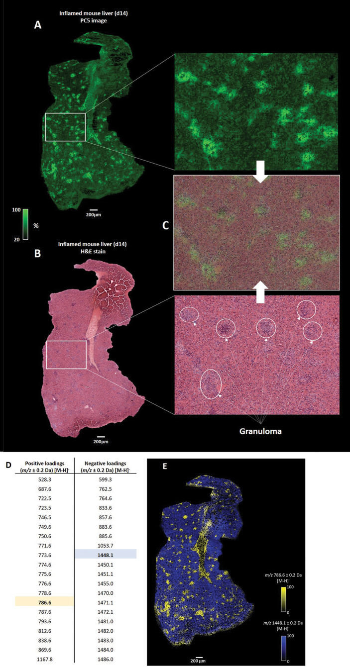 Figure 3