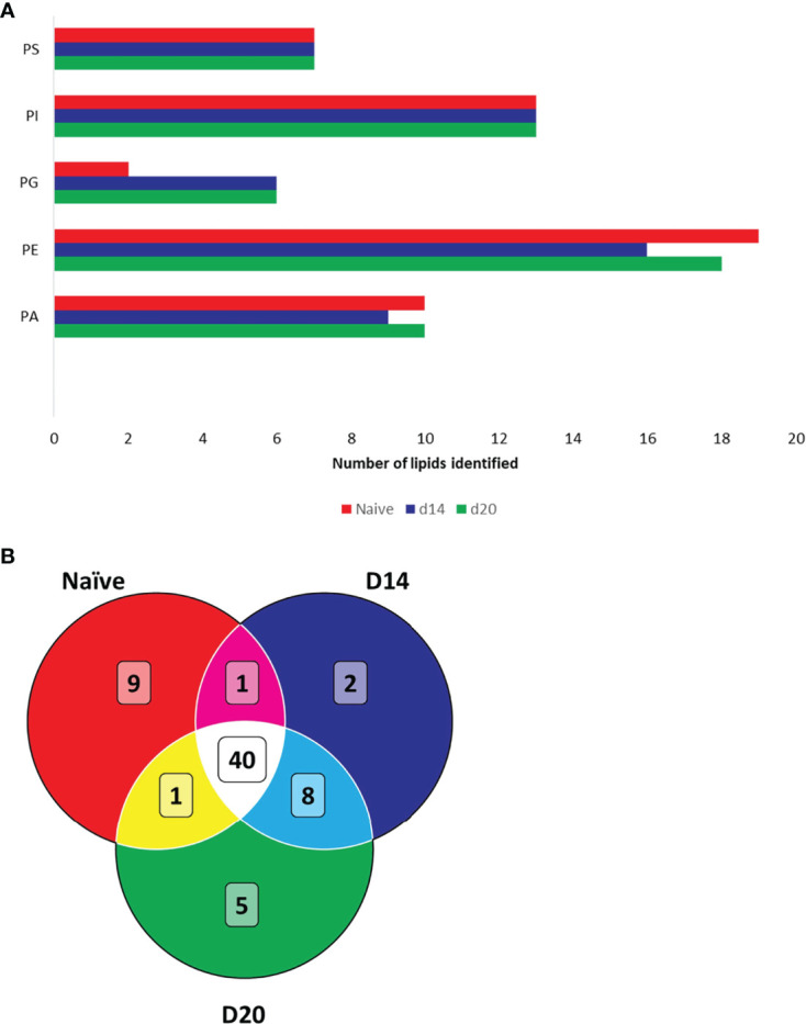 Figure 4