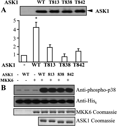 Figure 6