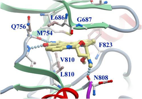 Figure 2