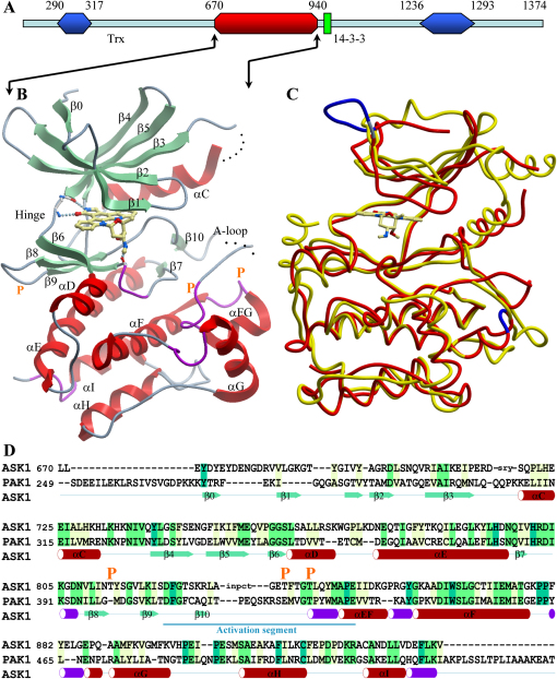 Figure 1