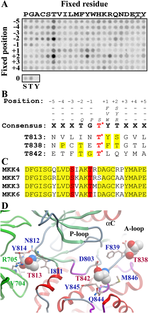 Figure 5