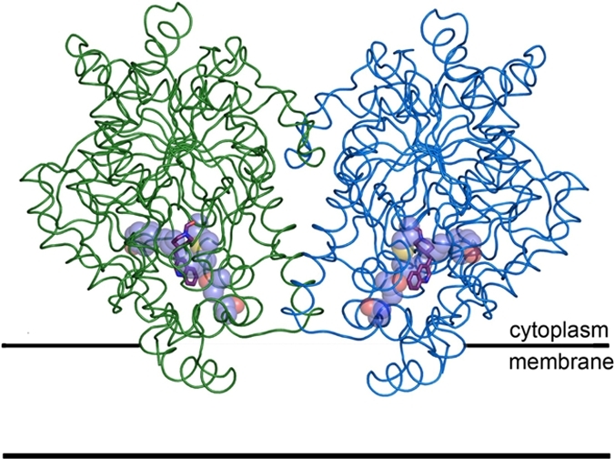 Fig. 2.