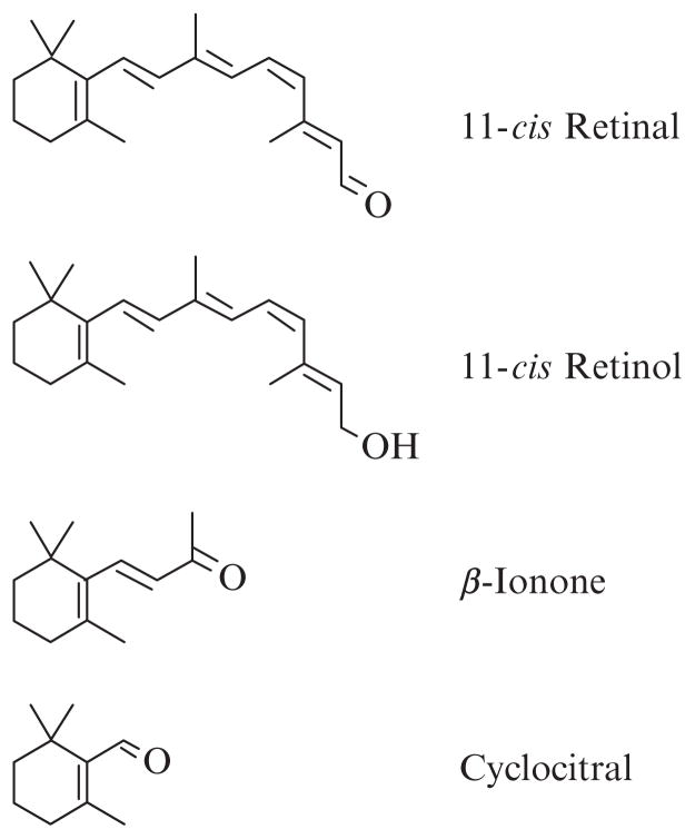 Figure 12.1