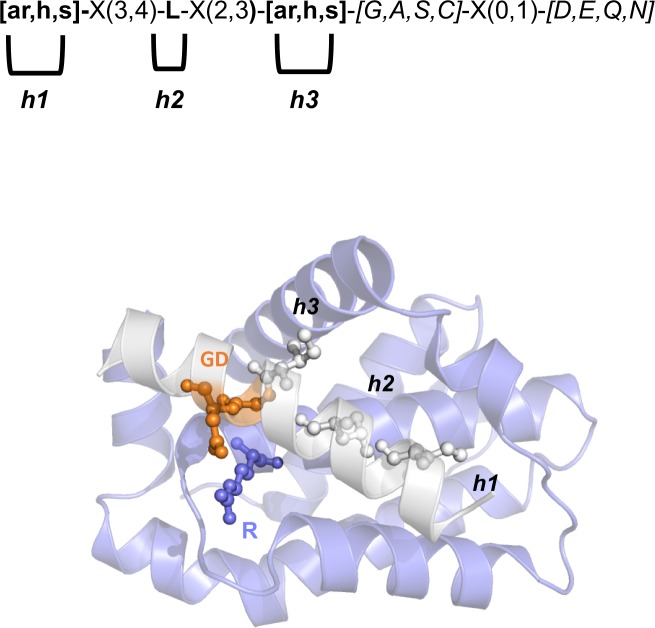 Fig 1