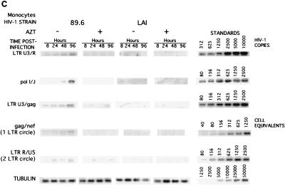 FIG. 5