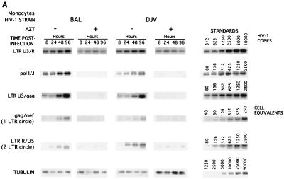 FIG. 5