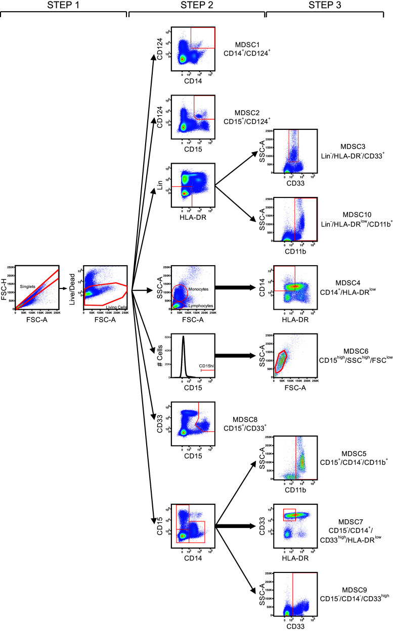 Fig. 1