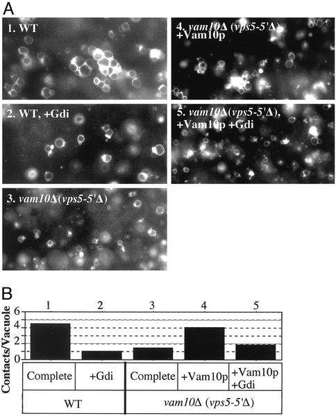 Fig. 6.