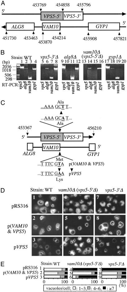 Fig. 3.