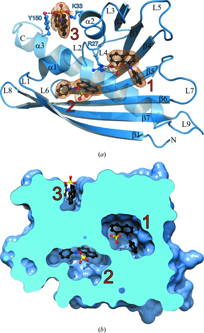 Figure 2