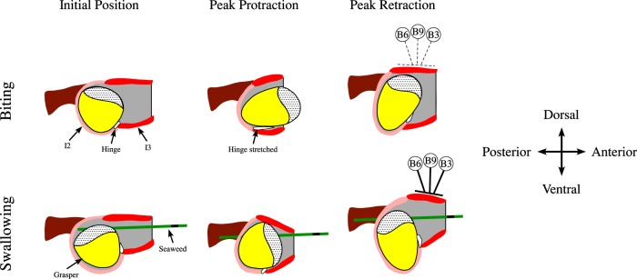 Figure 12.