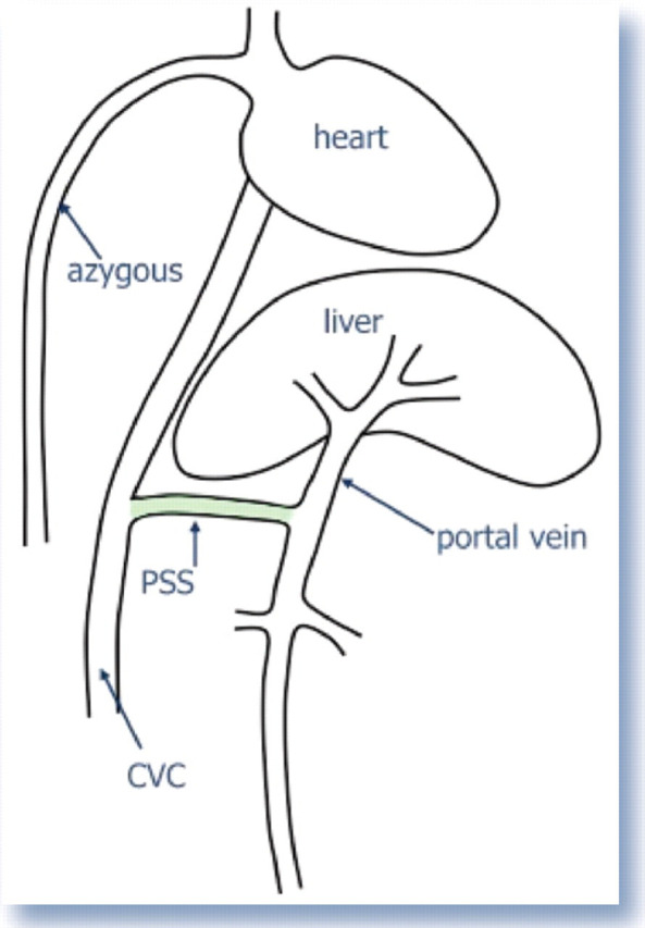 FIG 1