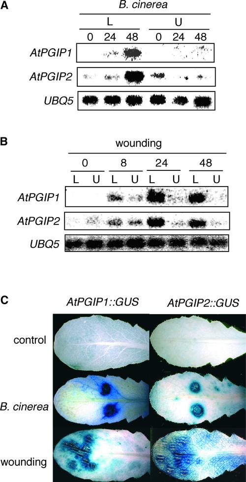 Figure 4.