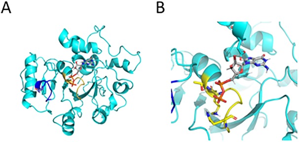 Fig 2