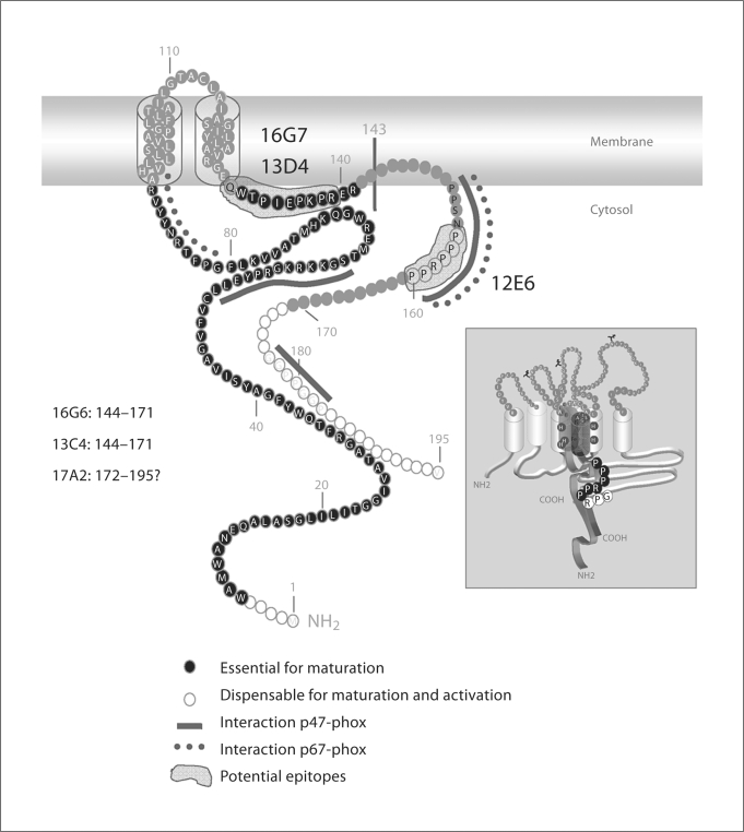 Fig. 10