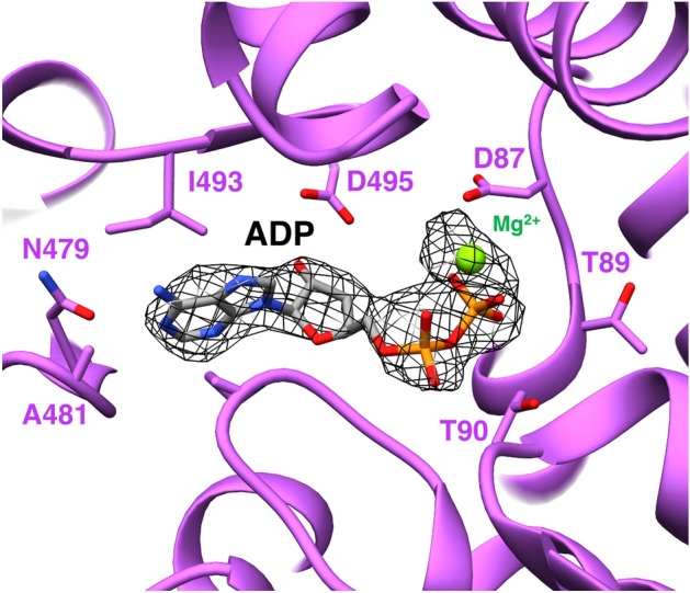 Figure 4