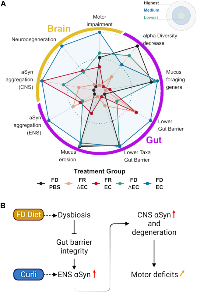 Figure 7