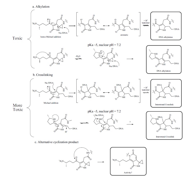 Fig. (4)