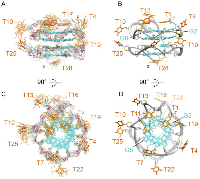 Figure 5.