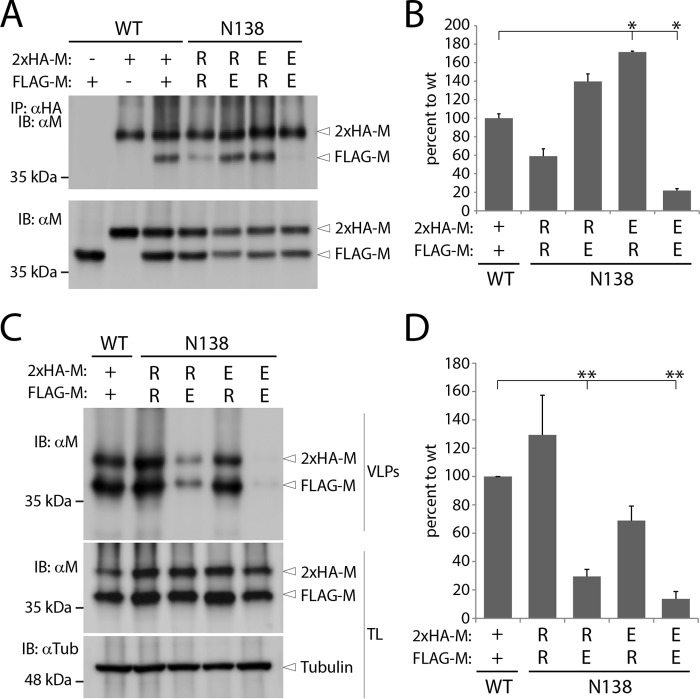 FIG 8