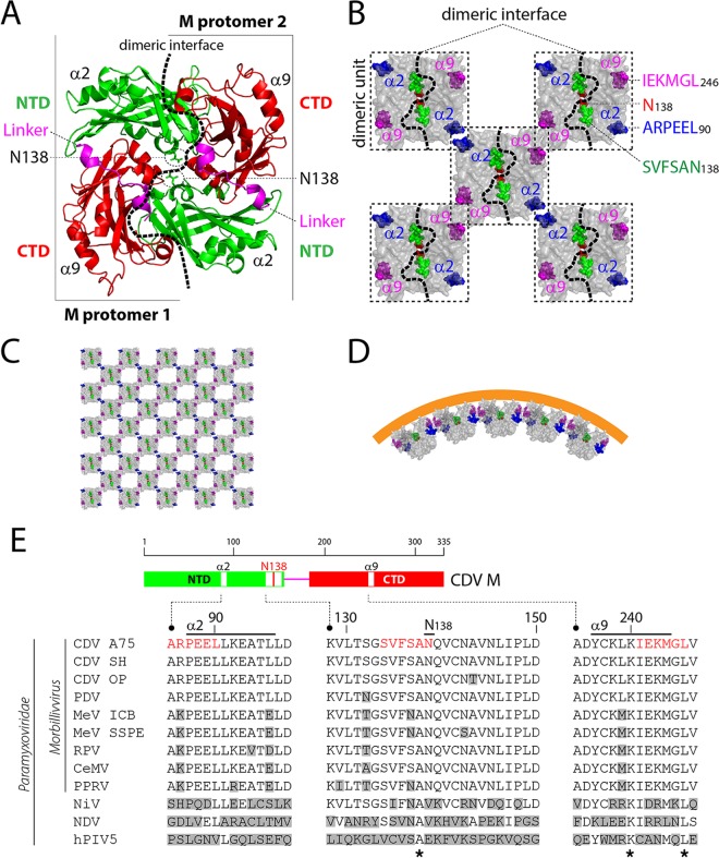 FIG 1