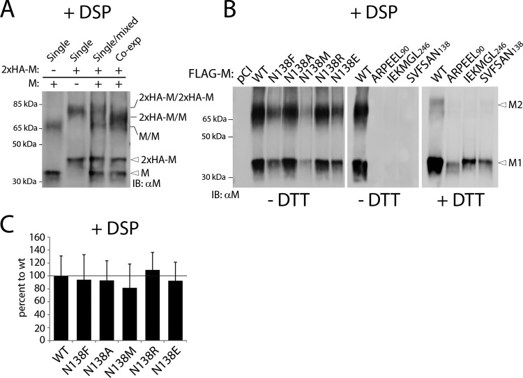 FIG 3