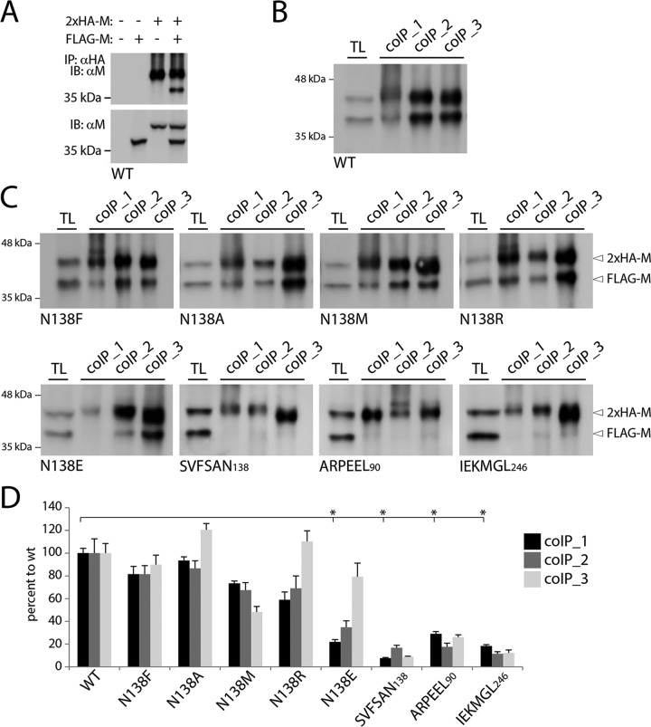 FIG 4