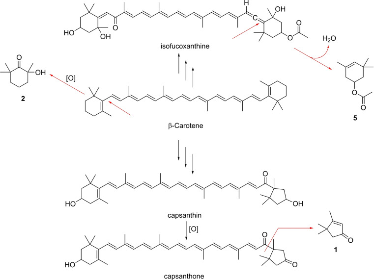 Scheme 1