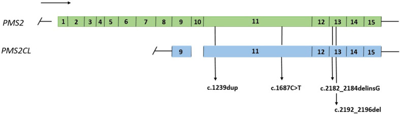 Figure 1