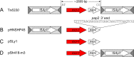 FIG 1