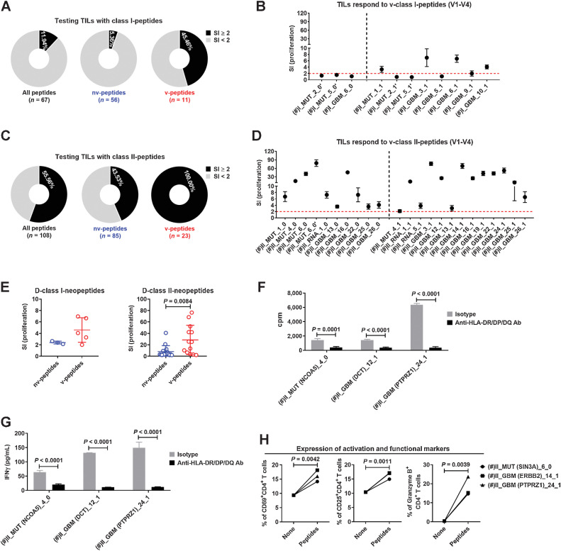 Figure 4. TILs preferentially respond to v-peptides. A, Percentages of peptides among all predicted class I-peptides, nv-class I-peptides, and v-class I-peptides that stimulated the TILs. B, Proliferations of TILs after stimulation with 5 v-class I-peptides used in the first to fourth vaccinations for 5 days. Five replicate wells were tested for proliferation. C, Percentages of peptides among all predicted class II-peptides, nv-class II-peptides, and v-class II-peptides that stimulated the TILs. D, Proliferations of TILs were stimulated with 5 v-class II-peptides used in the first to fourth vaccinations for 5 days. Five replicate wells were tested for proliferation. E, Comparison of the proliferation levels of TILs after stimulation with positive nv- and v-D-class I/II-neopeptides. TILs were stimulated with v-class II-peptides in the presence of a blocking anti-HLA-DR/DP/DQ (TÜ39) antibody or isotype control. Proliferations of TILs (F) and concentrations of IFN𝛾 in the supernatant (G) were detected 5 days after stimulation. Five replicate wells were set up for each condition, and cells were collected and pooled from replicate wells for proliferation test. H, Expression levels of activation markers CD69 and CD25 as well as cytotoxicity marker granzyme B on/in CD4+ TILs after stimulation with v-class II-peptides for 5 days. Five replicate wells were set up for each condition, and cells were collected and pooled from replicate wells for testing. (#) indicates the peptide that was used in the first to fourth vaccinations. Data are expressed as mean ± SEM, and P values were determined using an unpaired t test.