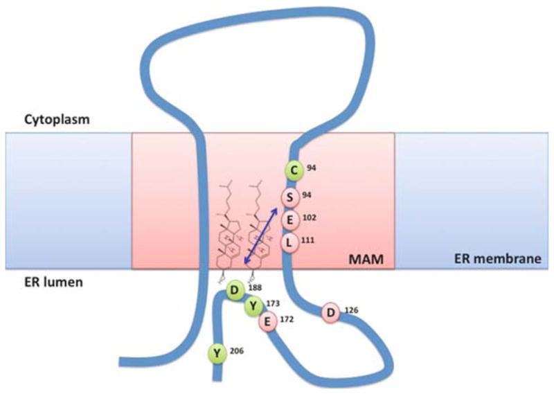 Fig. 13.2