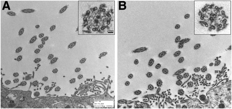 FIG. 5.