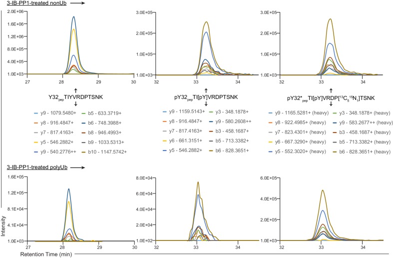 Figure 4—figure supplement 2.