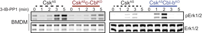 Figure 1—figure supplement 1.