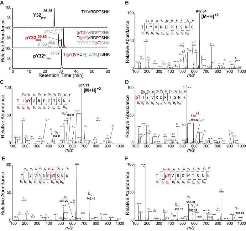 Figure 4—figure supplement 3.