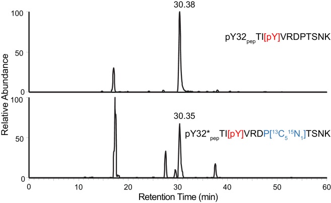 Figure 4—figure supplement 4.