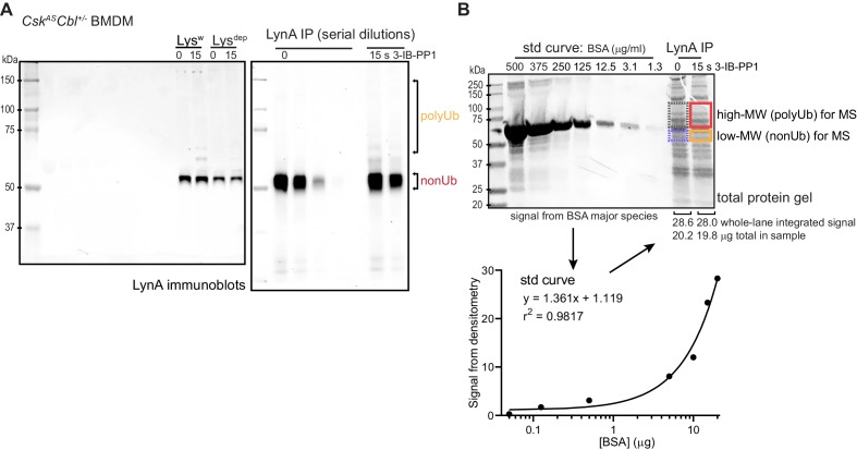 Figure 4—figure supplement 1.