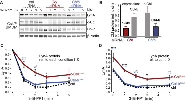 Figure 1—figure supplement 2.