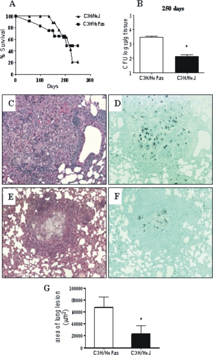 FIG. 8.