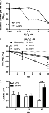 FIGURE 4.
