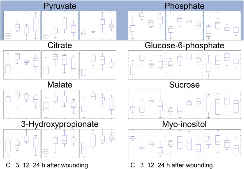 Figure 5.