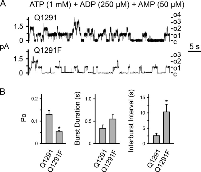 FIGURE 12.