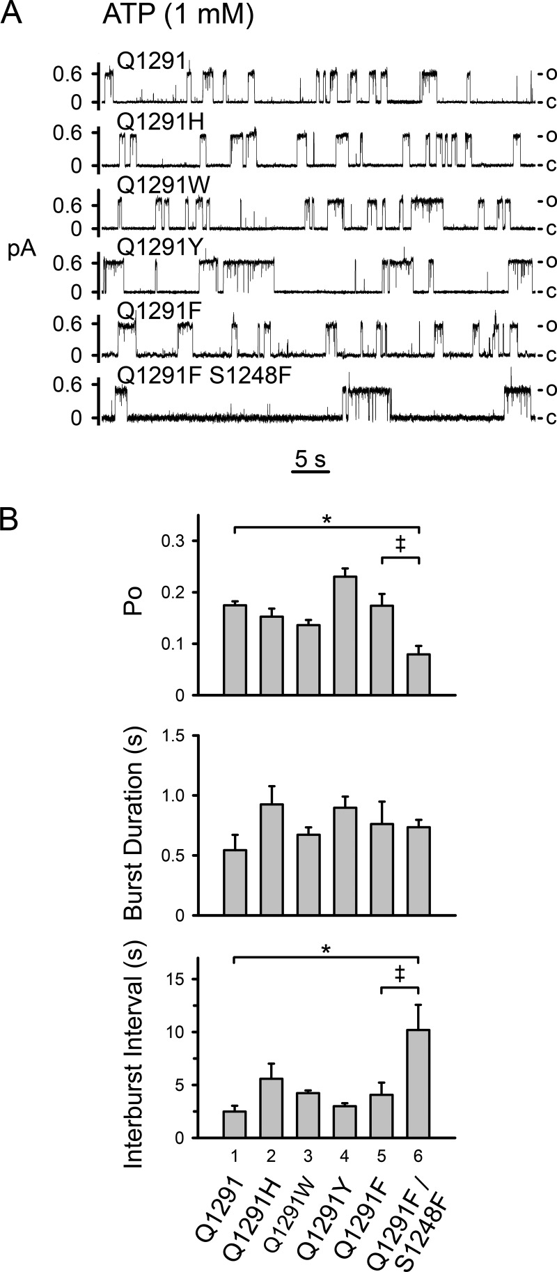 FIGURE 5.