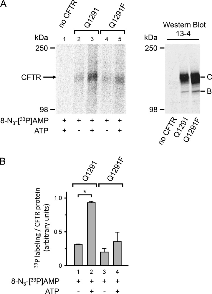 FIGURE 10.