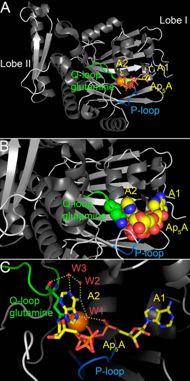 FIGURE 1.