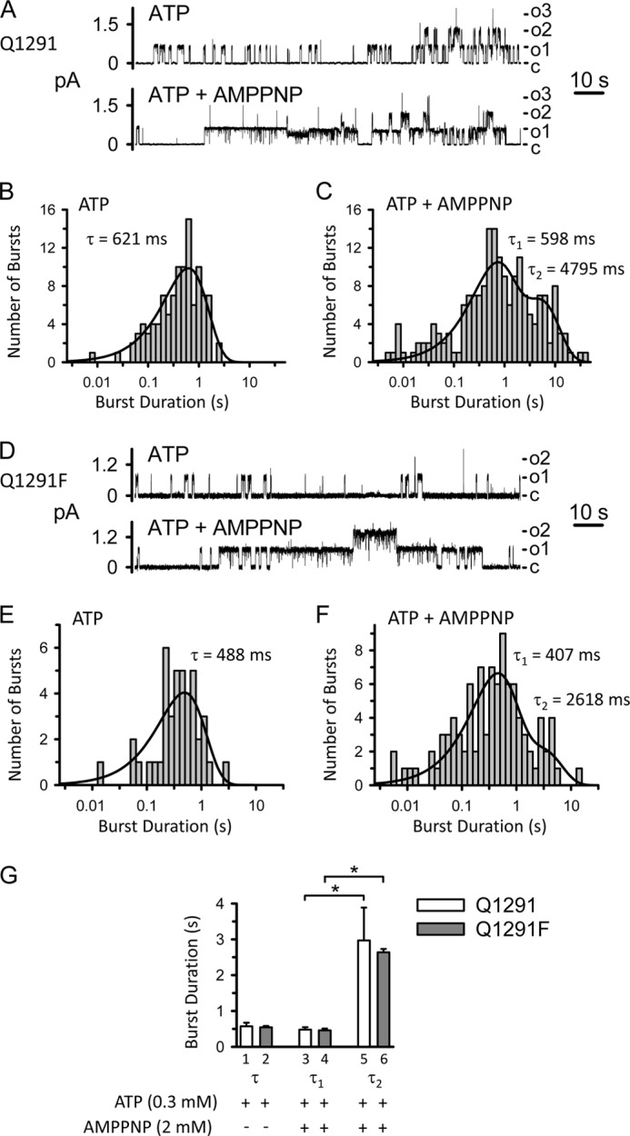 FIGURE 6.