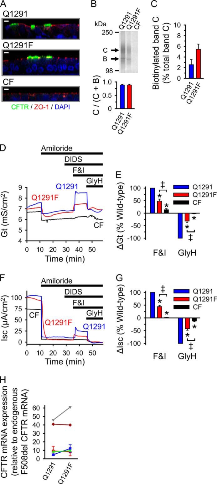 FIGURE 13.